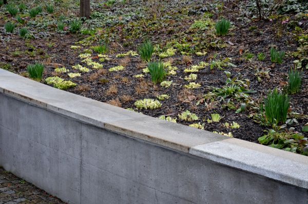 Concrete Wall Construction in Bradenton