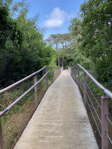 Footpath Construction in Bradenton