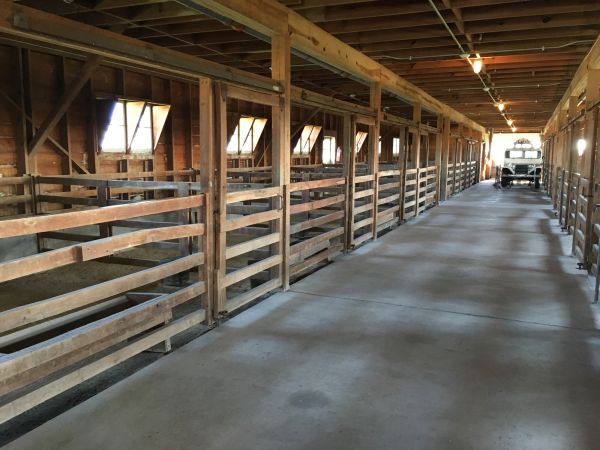 Barn Slab Construction in Bradenton