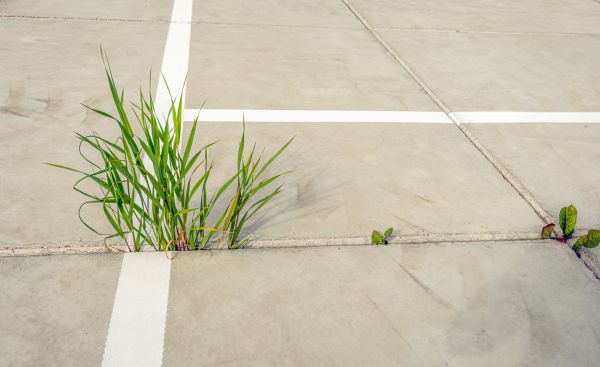 Concrete Parking Installation in Bradenton